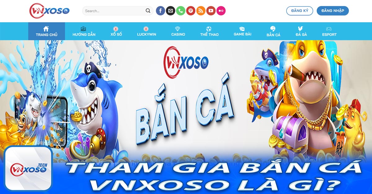 Tham gia bắn cá Vnxoso là gì?